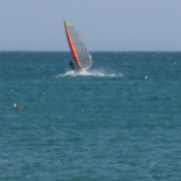 ���� ��������, ���� - ��������� 22 �������� 2019