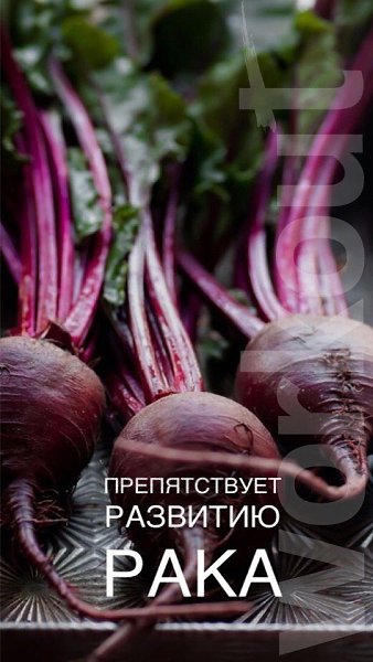 А вы знаете, что свекла — СУПЕРФУД? Ловите несколько фактов о свекле! #полезное@ican - 5