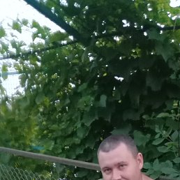 ���� �����, ���������, 43 ���� - ��������� 27 ���� 2019