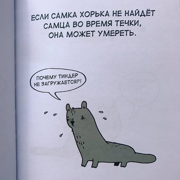 Состояние на конец года: «Грустные факты о животных» Брук Баркер - 9