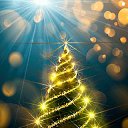 ���� ���������, ����� - ��������� 31 ������� 2019 � ������ ���� ����������