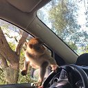 ���� ���������, ������, 40 ��� - ��������� 17 ��� 2019 � ������ ���� ����������