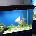 ���� �������, �������, 41 ��� - ��������� 11 ������� 2019 � ������ ���� ����������