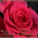 ���� ������, �����-���������, 39 ��� - ��������� 21 ���� 2019 � ������ ���� ����������