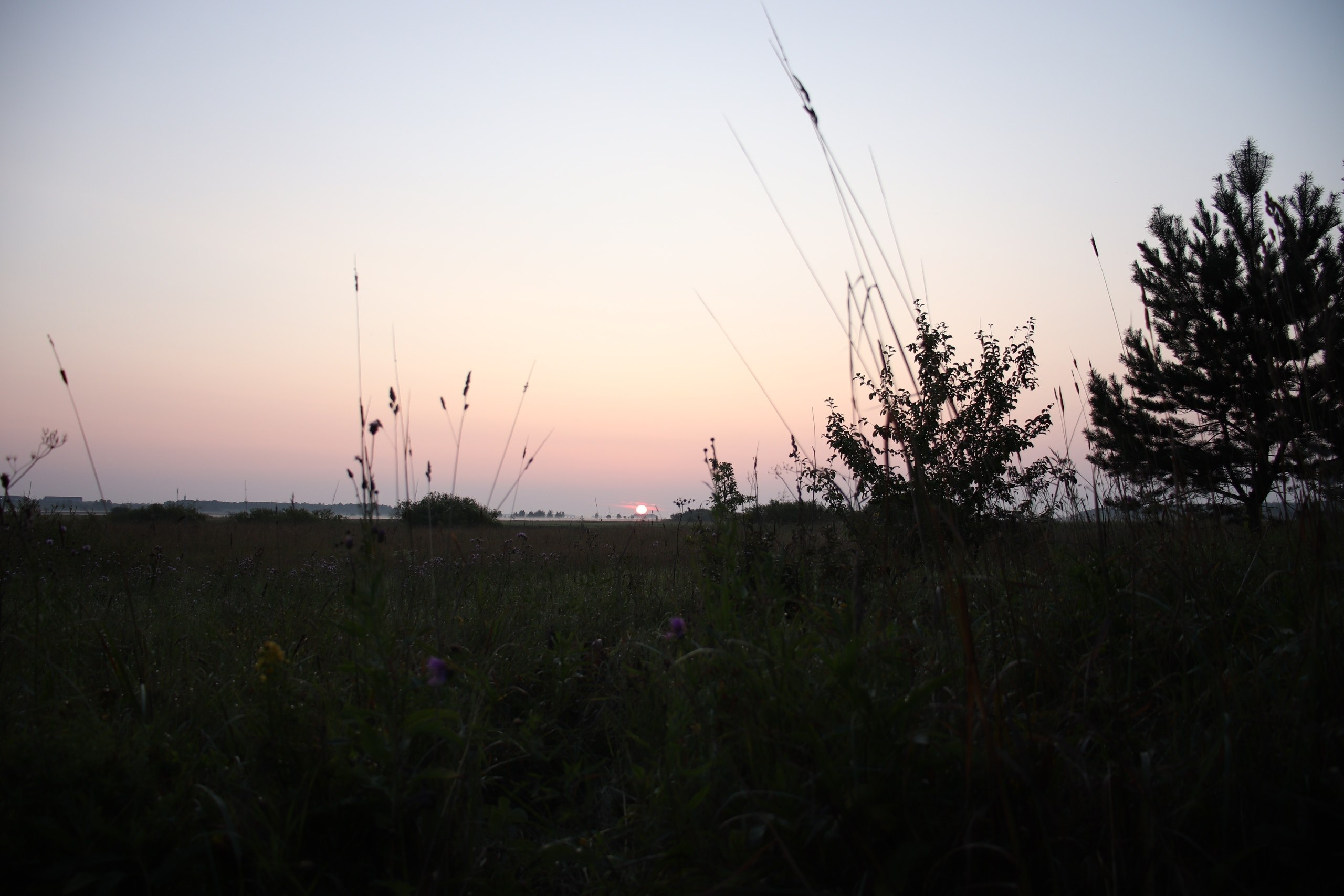 ���� ������ ��� - 2