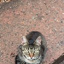  , , 50  -  23  2019      --