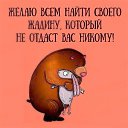 ���� �������, ���������, 48 ��� - ��������� 7 ������ 2019 � ������ ���� ����������