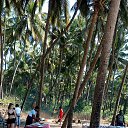  ,  , 65  -  18  2019   