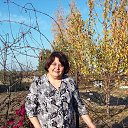 ���� �����, �������, 54 ���� - ��������� 31 ������� 2019 � ������ ���� ����������