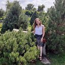 ���� �������, ��������������, 46 ��� - ��������� 27 ������� 2019 � ������ ���� ����������