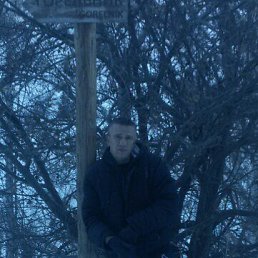 ���� �����, ������, 41 ��� - ��������� 3 ������ 2019