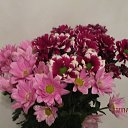 ���� ��������, Kouvola, 78 ��� - ��������� 11 ������ 2019 � ������ ������
