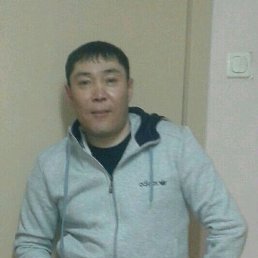 ������, �����-���������, 41 ���