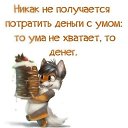���� �����, �����-��������� - ��������� 9 ���� 2019 � ������ ������ ��������