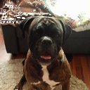  , -, 51  -  19  2019    