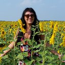 ���� ����, ���������, 54 ���� - ��������� 4 ���� 2019