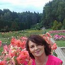 ���� ���������, ������� - ��������� 7 ������� 2019 � ������ ���� ����������