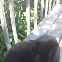  Argus1972, , 53  -  4  2019    