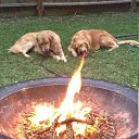  ••,  -  4  2019   )))))))))))))))))))))))))))