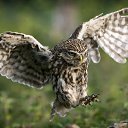 ���� ���������, ������, 42 ���� - ��������� 27 ������ 2019 � ������ ���� ����������