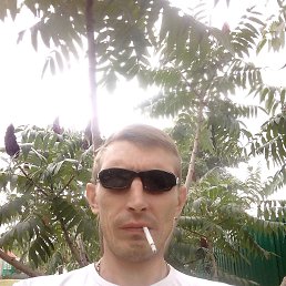 ������, �����, 43 ����