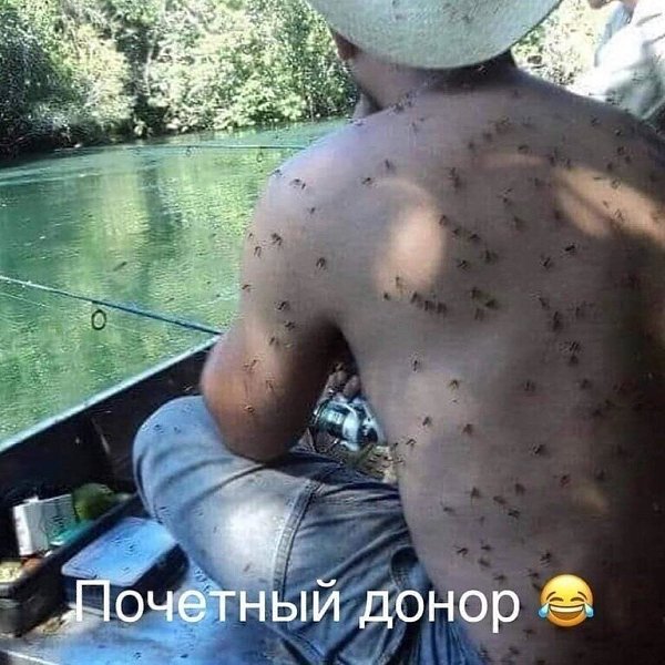 ☆ ☆ - 28  2019  16:58