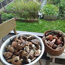  , -, 62  -  13  2019   