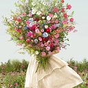 �� ������ �������� ������� ��������. ������� ��� �������. � ����������� �� ����, ��� � ��� ������� � �������. ���� � ���� �����, �� �������. ���� ����� ... �� �������. � ���� �� � ���� ��������. ���� � ���! �� ������� ������ ��������