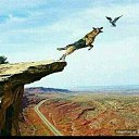 ���� �������, ����������� - ��������� 16 ��� 2019 � ������ ������ ��������