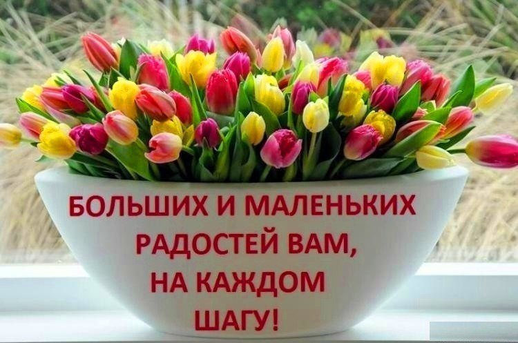   ,    . - 28  2019  13:40