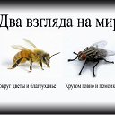 ���� Evi, ������ - ��������� 5 ������� 2019 � ������ ���� ����������