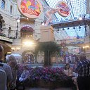 ���� ������, ������, 68 ��� - ��������� 16 ���� 2019 � ������ ���������� �� ������