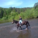 ���� �lga, ������������ - ��������� 23 ���� 2019 � ������ ���� ����������