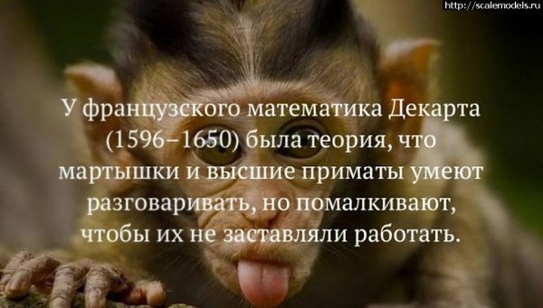     ,   ...
