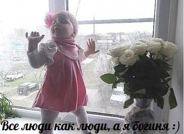 ������ ���������� �������� �����