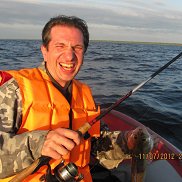 ������, 50 ���, �������