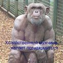 ���� �������, ����, 56 ��� - ��������� 9 ������ 2019