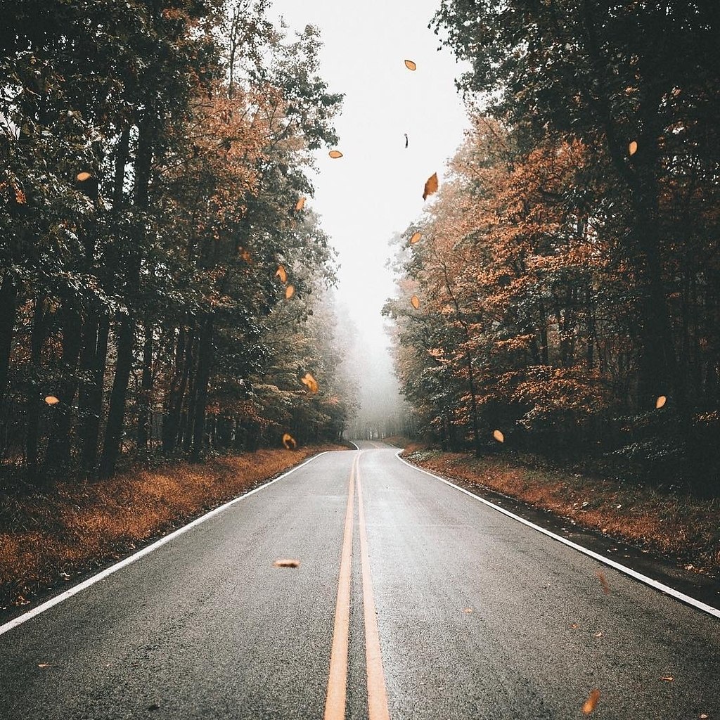 ,     ,     ?   .     ...