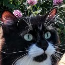 ���� �����, �����-�������� - ��������� 26 ���� 2019 � ������ ������ ��������