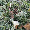  , , 50  -  4  2019   3.10.2019 