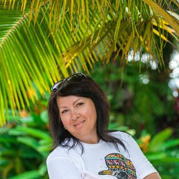 �������, ����������, 58 ���