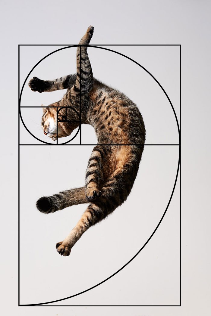 ,        .   , ... - 4