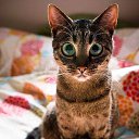 ���� Nata, ������, 67 ��� - ��������� 19 ������� 2019 � ������ ���� ����������