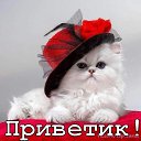 ���� ����, ��������, 67 ��� - ��������� 21 ���� 2019 � ������ �5 ������� �������