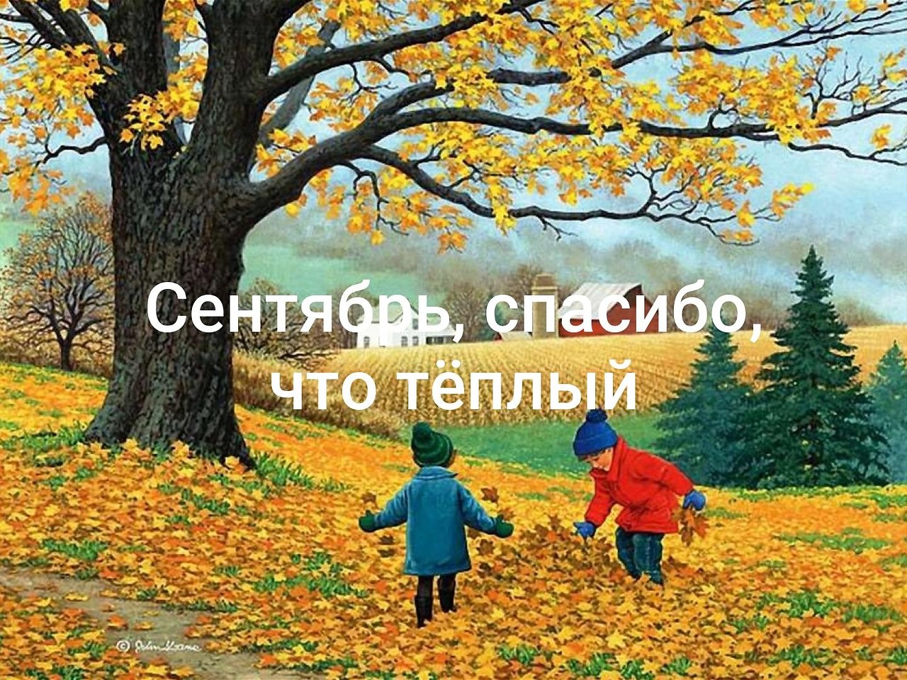   - 11  2019  03:06