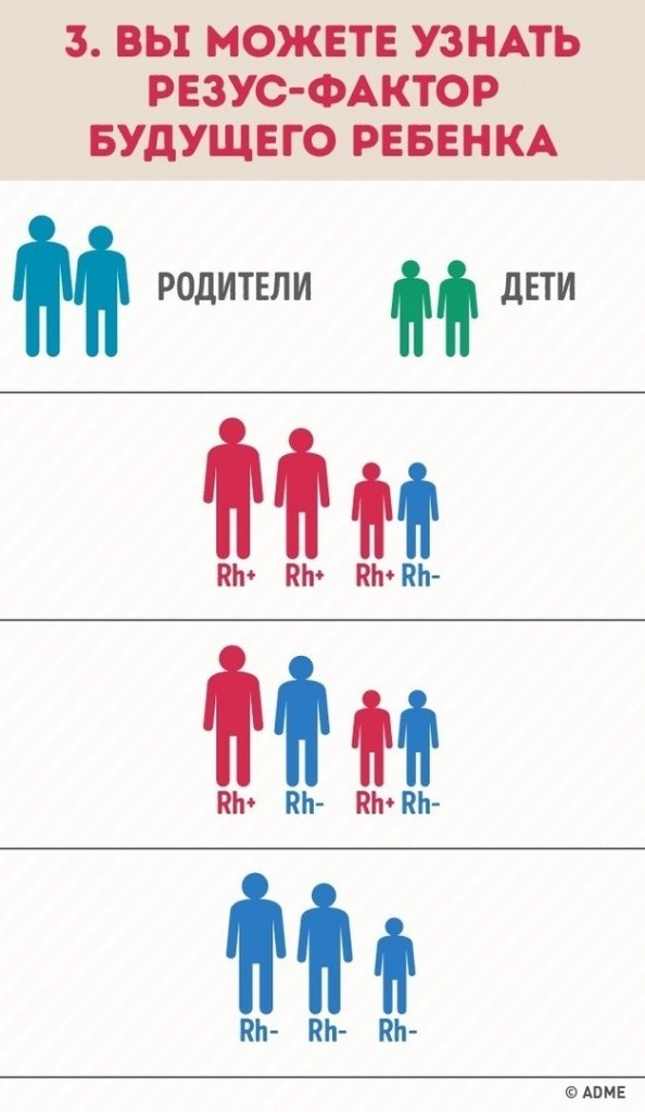 Зачем резус фактор. Зачем знать группу крови. Кровь на группу крови и резус-фактор. Зачем нужно знать свою группу крови. Резус-фактор родителей и детей.