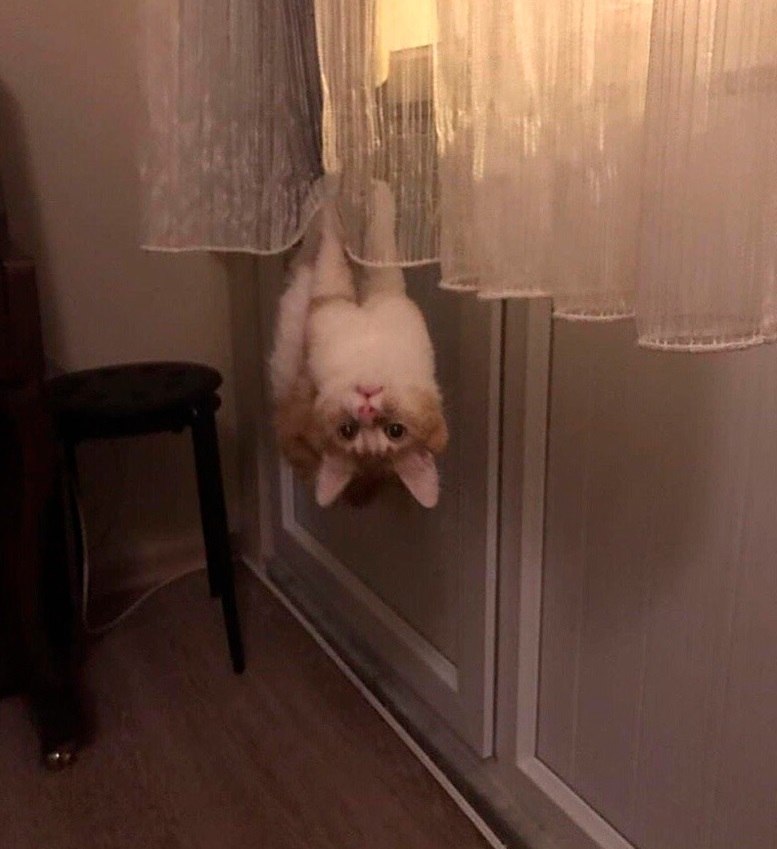   ?  a , ...