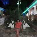 ���� �����, ������ ��������, 53 ���� - ��������� 28 ������� 2019 � ������ ���� ����������