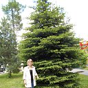 ���� �����, ���������, 66 ��� - ��������� 3 ������ 2019 � ������ ���� ����������