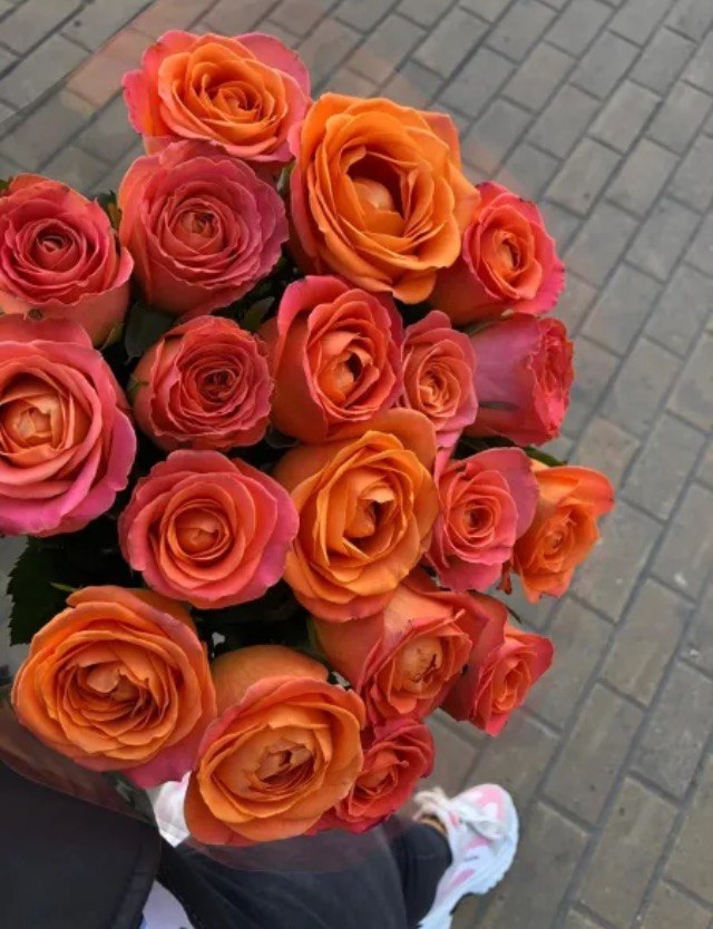 ������ �� ���... - 20 ������� 2019 � 21:10